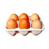 Egg - Image 2